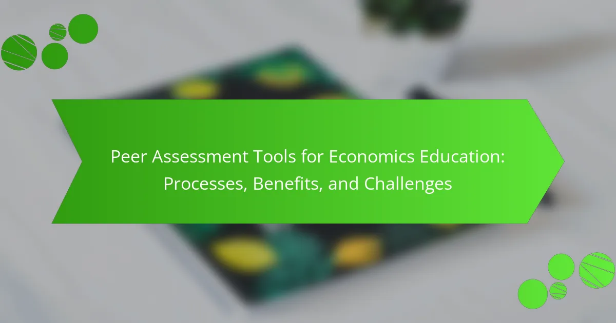 Peer Assessment Tools for Economics Education: Processes, Benefits, and Challenges